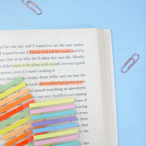 Penanda / Sticky Note Highlighter Strips Panmomo 15 Warna